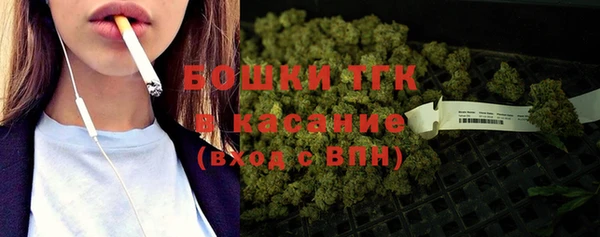 PSILOCYBIN Верхний Тагил