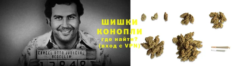 Шишки марихуана THC 21%  купить наркотики цена  Емва 